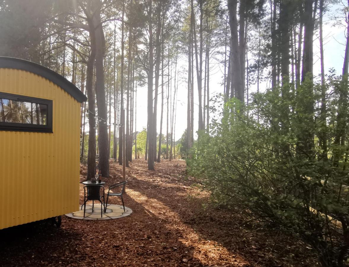 Forest Heath Shepherd'S Huts Ringwood Exterior foto