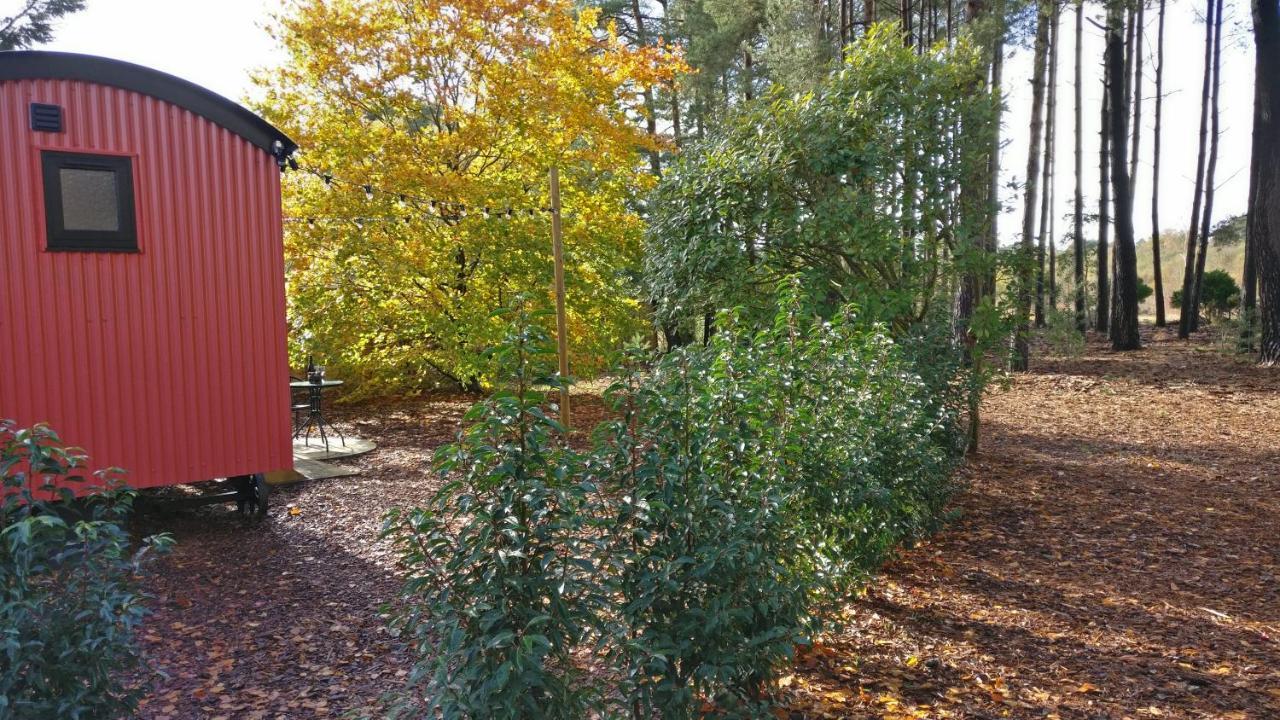 Forest Heath Shepherd'S Huts Ringwood Exterior foto